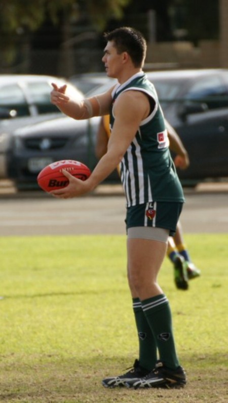 vLions290613_06