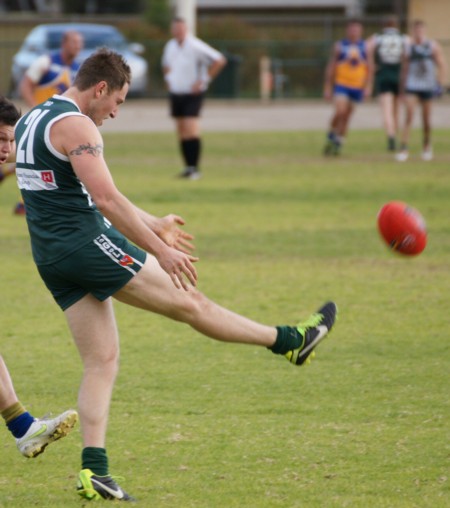 vLions290613_07