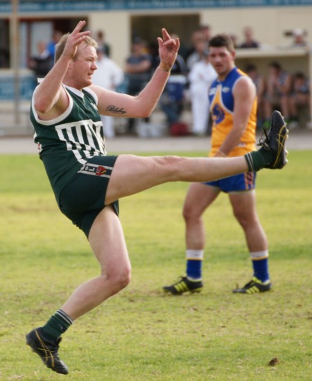 vLions290613_10