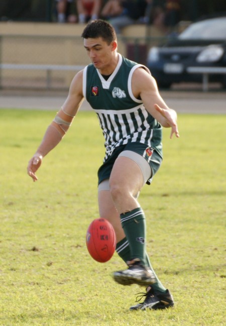 vLions290613_11