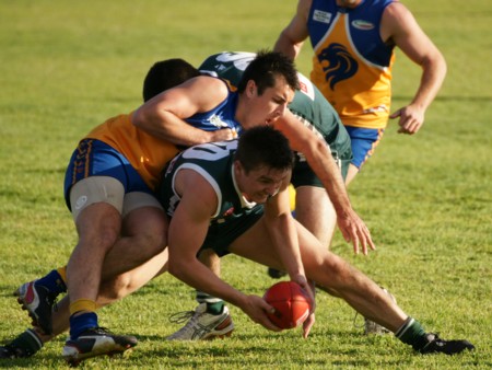 vLions290613_13