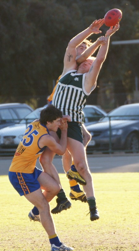 vLions290613_14