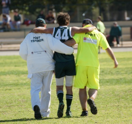 vLions170813_01