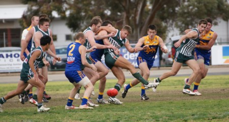 vLions170813_13