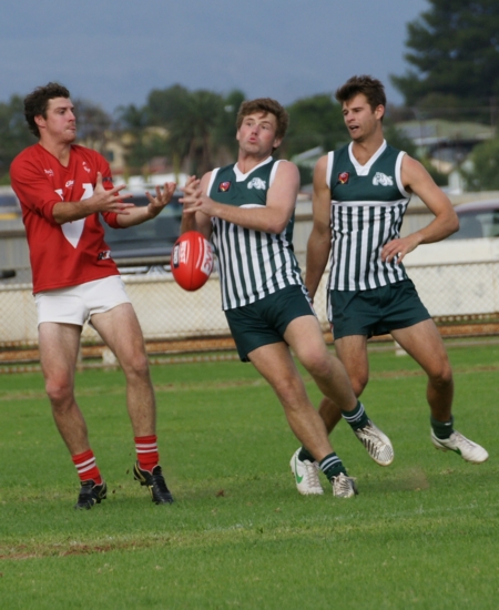 vSouth120414-19