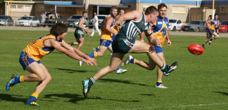 vLions100514_13
