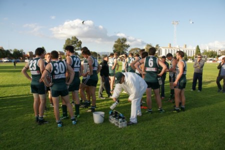 vLions100514_27