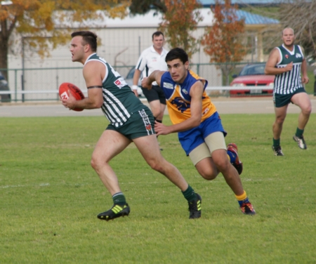 vLions290614-1