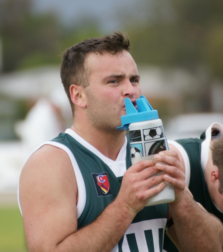 vLions290614-11