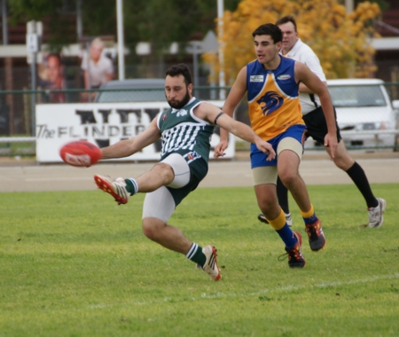 vLions290614-18