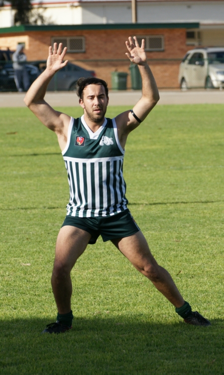 vLions290614-21