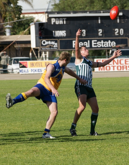 vLions290614-22