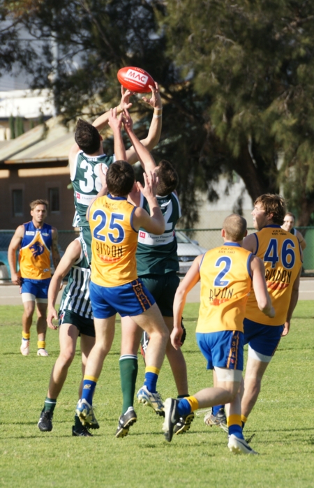 vLions290614-23