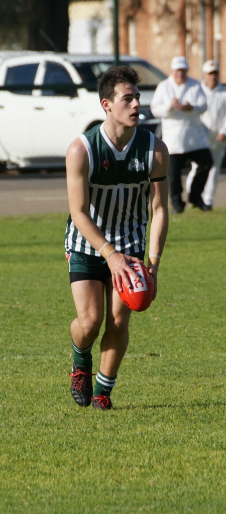 vLions290614-24