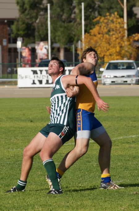 vLions290614-25