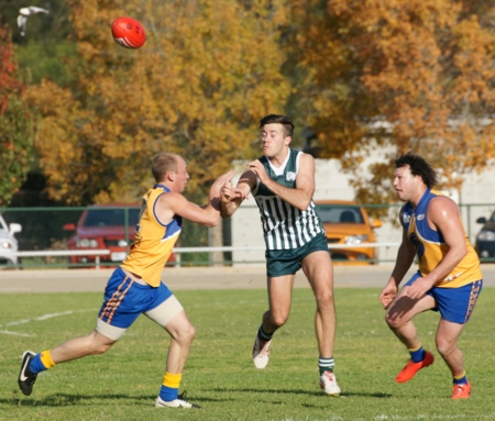 vLions290614-28
