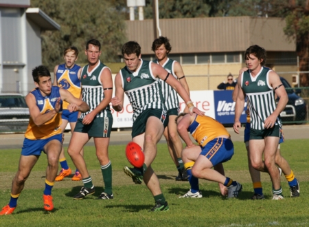 vLions290614-29