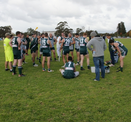 vLions290614-3