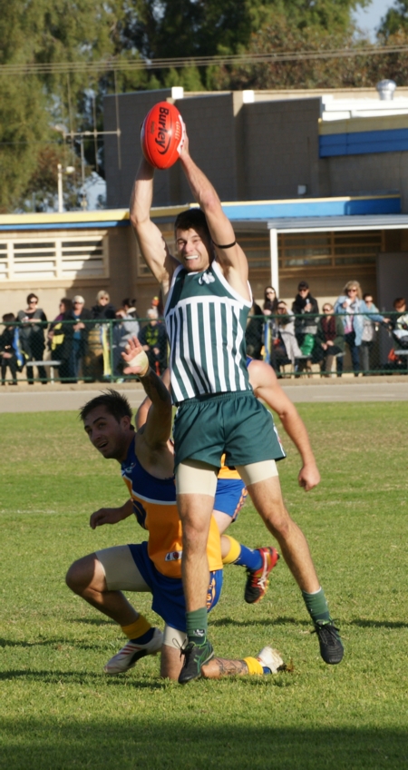 vLions290614-30