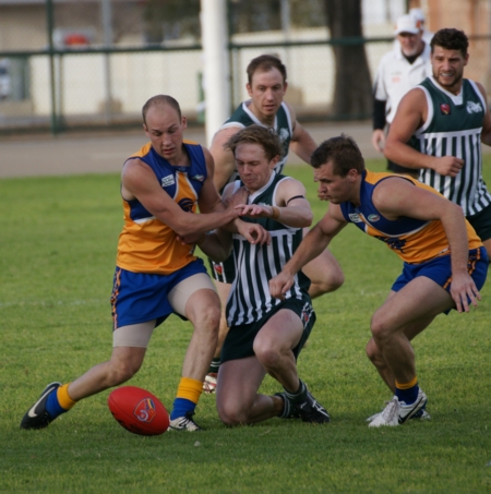vLions290614-31