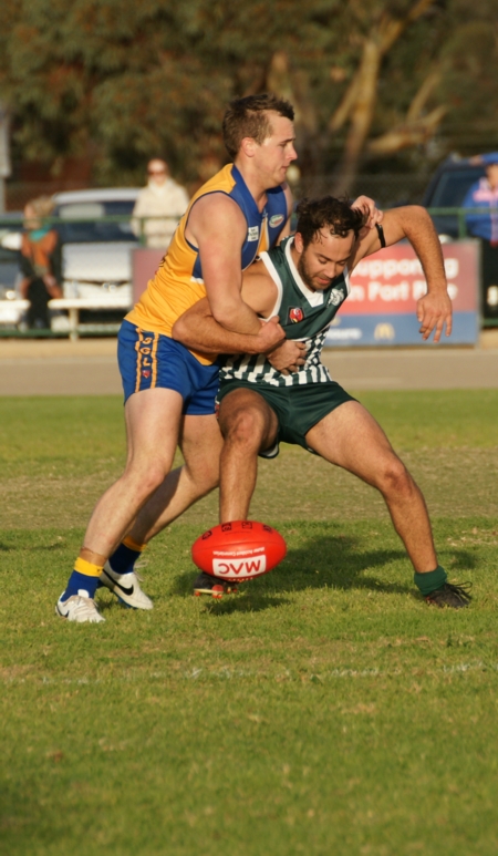 vLions290614-34