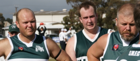 vLions290614-4