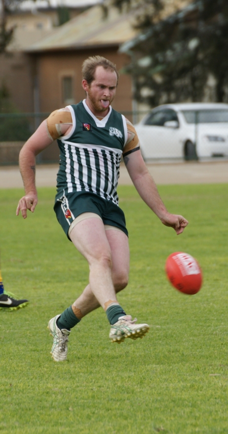 vLions290614-7
