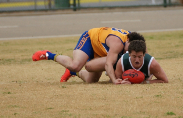 vLions090814 05