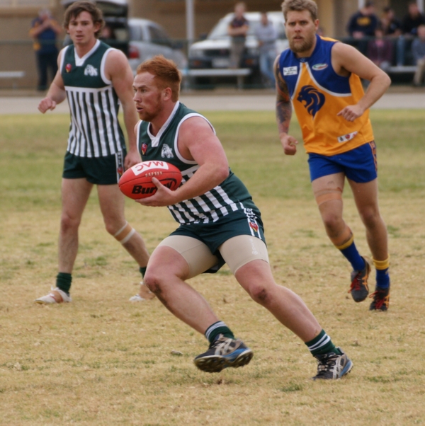 vLions090814 11