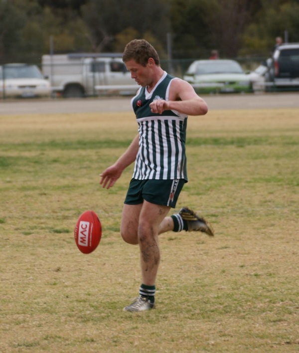 vLions090814 12