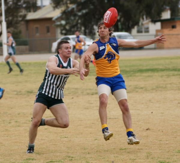 vLions090814 13