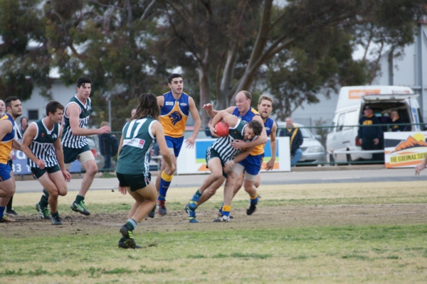 vLions090814 18