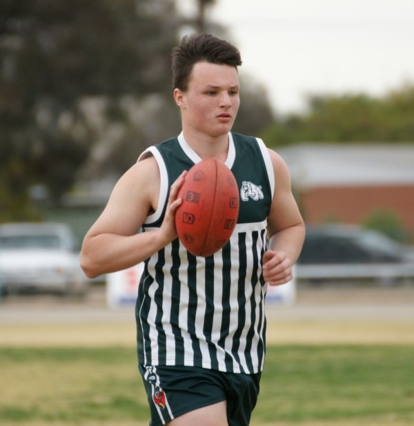 vlions090814 01