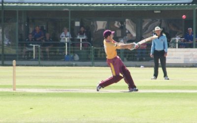 T20 Country Living Homes Cricket