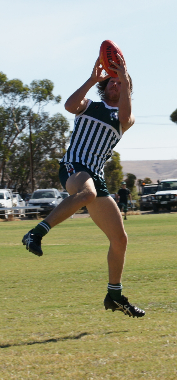 vBSR 13