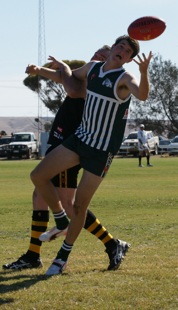 vBSR 15