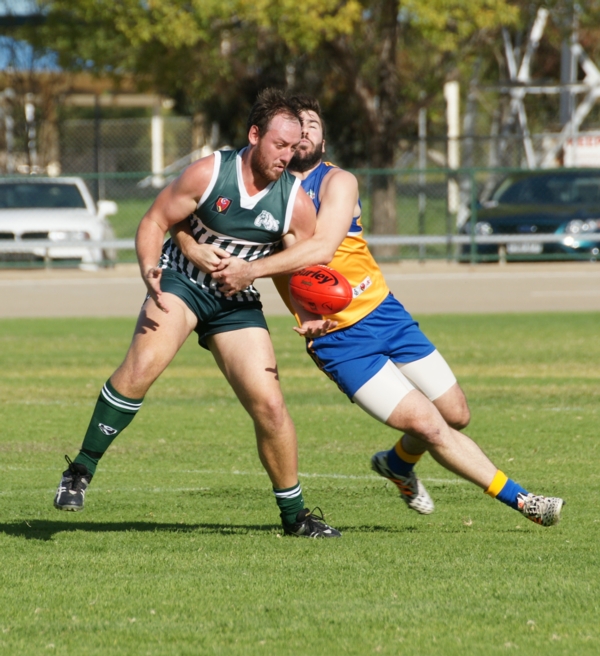 vLions020515 11