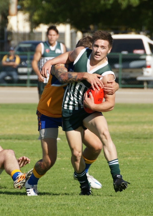 vLions020515 12