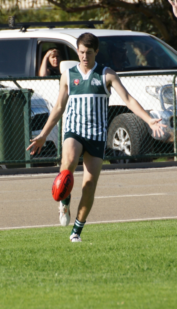 vLions020515 13