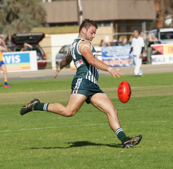 vLions020515 17