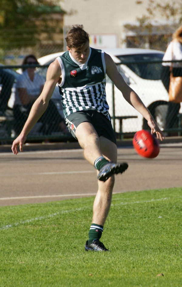 vLions020515 18
