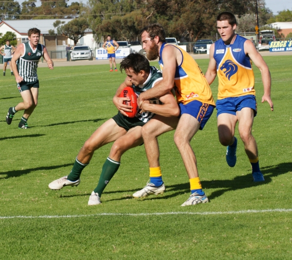 vLions020515 19