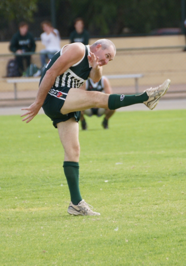 vLions020515 2