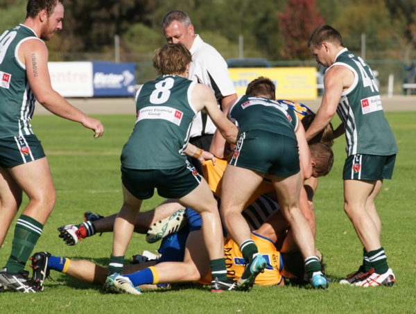 vLions020515 20