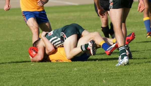 vLions020515 21