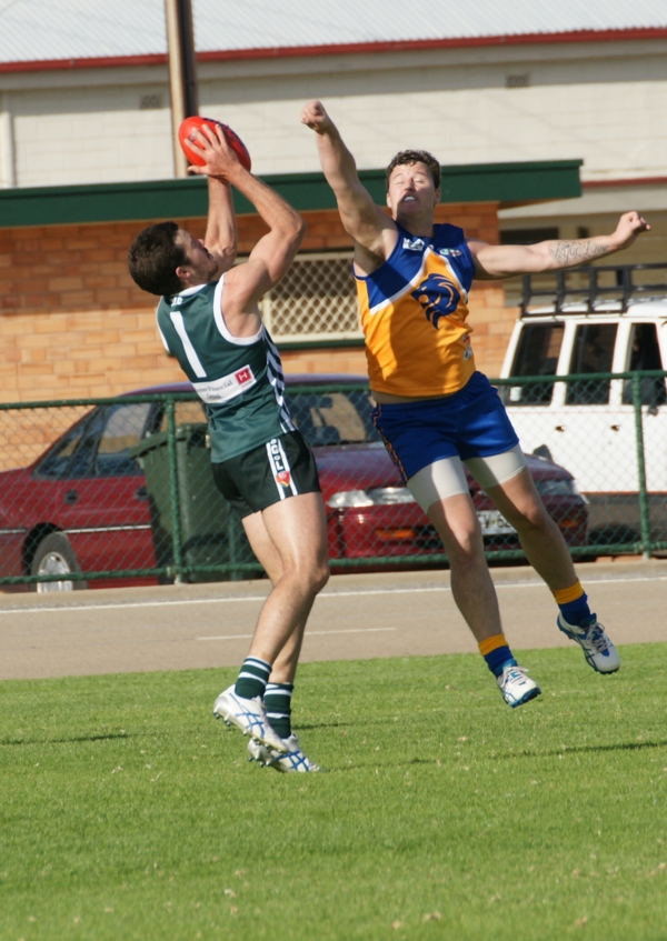 vLions020515 22