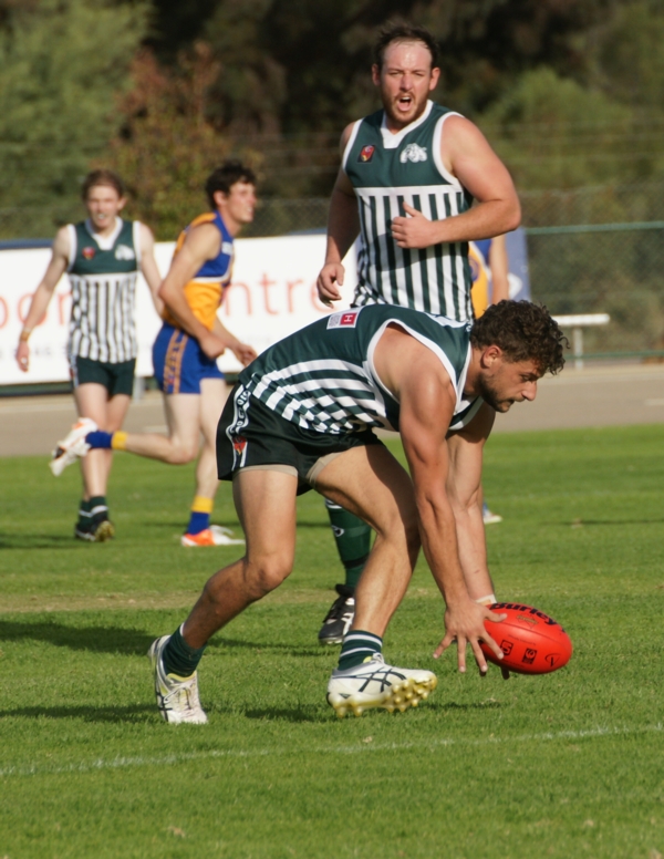 vLions020515 24
