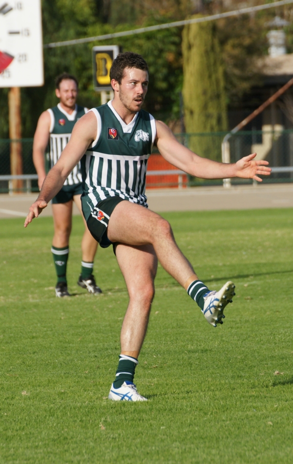 vLions020515 25