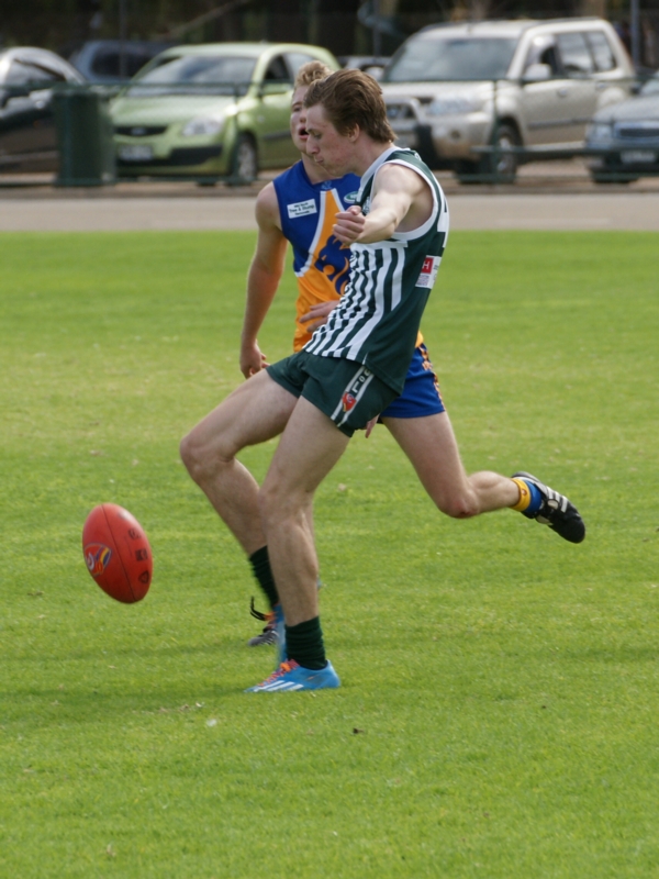 vLions020515 3
