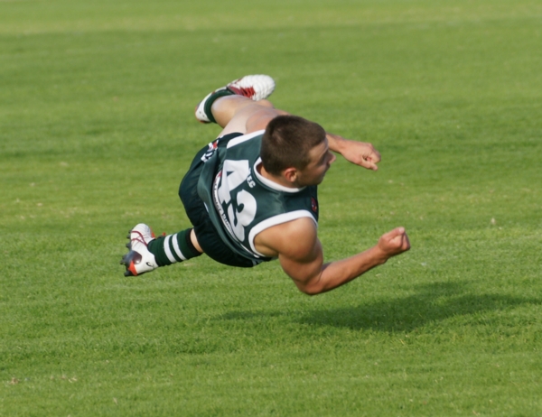 vLions020515 30